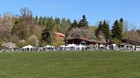 Lämmerfest auf der Ziegenalm Sophienhof Bild: Lämmerfest auf der Ziegenalm Sophienhof