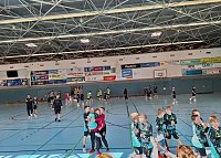 Impressionen vom Handball-Wochenende Bild: Impressionen vom Handball-Wochenende