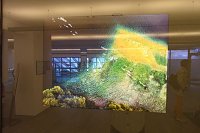 Bild: Impressionen zur Ausstellung Bewegende Momente � Eine Reise in Bildern in der Kreissparkasse Nordhausen