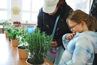 Beim Tag der offenen Tür in der Brecht-Grundschule in Nordhausen war viel los. Bild: Beim Tag der offenen Tür in der Brecht-Grundschule in Nordhausen war viel los.