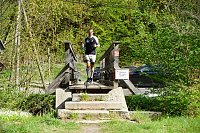 Bild: Impressionen vom 12. Harztorlauf im Landkreis Nordhausen. 