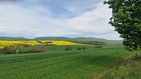 Bild: Auf zum Harztorlauf - die nnz war auf der 5 Kilometer Strecke mit am Start