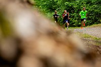 Bild: Eindr&uuml;cke vom Gehege-Crosslauf