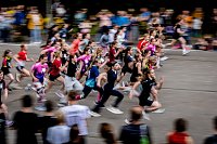 Bild: Eindr&uuml;cke vom Gehege-Crosslauf