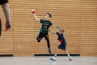 Handball-Ergebnisdienst Bild: Handball-Ergebnisdienst
