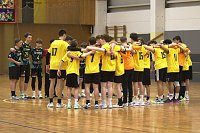 Handball-Ergebnisdienst Bild: Handball-Ergebnisdienst