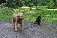 Im Park Hohenrode fanden heute wieder die Waldjugendspiele statt Bild: Im Park Hohenrode fanden heute wieder die Waldjugendspiele statt