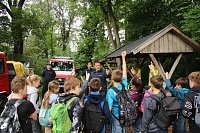Im Park Hohenrode fanden heute wieder die Waldjugendspiele statt Bild: Im Park Hohenrode fanden heute wieder die Waldjugendspiele statt