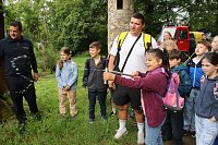 Im Park Hohenrode fanden heute wieder die Waldjugendspiele statt Bild: Im Park Hohenrode fanden heute wieder die Waldjugendspiele statt