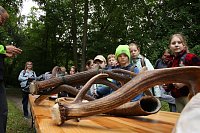 Im Park Hohenrode fanden heute wieder die Waldjugendspiele statt Bild: Im Park Hohenrode fanden heute wieder die Waldjugendspiele statt