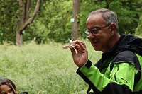 Im Park Hohenrode fanden heute wieder die Waldjugendspiele statt Bild: Im Park Hohenrode fanden heute wieder die Waldjugendspiele statt