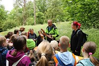 Im Park Hohenrode fanden heute wieder die Waldjugendspiele statt Bild: Im Park Hohenrode fanden heute wieder die Waldjugendspiele statt