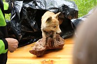 Im Park Hohenrode fanden heute wieder die Waldjugendspiele statt Bild: Im Park Hohenrode fanden heute wieder die Waldjugendspiele statt