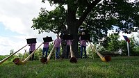 Bild: Die dicke Eiche bei Krimderode wurde heute als National-Erbe-Baum ausgerufen. 