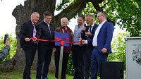 Bild: Die dicke Eiche bei Krimderode wurde heute als National-Erbe-Baum ausgerufen. 
