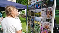 Impressionen vom 28. Naturschutztag in Neustadt. Bild: Impressionen vom 28. Naturschutztag in Neustadt.