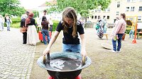 Bild: Impressionen vom Kinderfest und SWG-Geburtstag auf dem Petersberg.