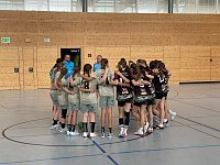 Handball-Ergebnisdienst Bild: Handball-Ergebnisdienst