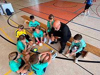 Handball-Ergebnisdienst Bild: Handball-Ergebnisdienst