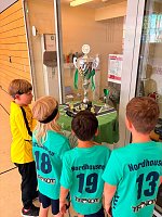 Handball-Ergebnisdienst Bild: Handball-Ergebnisdienst
