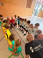 Handball-Ergebnisdienst Bild: Handball-Ergebnisdienst