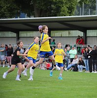 Handball-Ergebnisdienst Bild: Handball-Ergebnisdienst