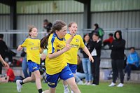 Handball-Ergebnisdienst Bild: Handball-Ergebnisdienst
