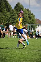 Handball-Ergebnisdienst Bild: Handball-Ergebnisdienst