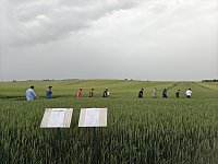 Bild: Feldtag des Kreisbauernverbandes