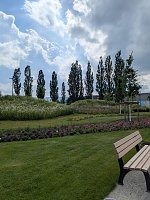 Bild: Nordhausens Herzsportler waren zu Gast auf der Landesgartenschau