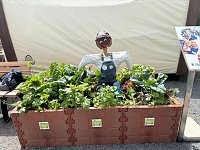 Bild: Nordhausens Herzsportler waren zu Gast auf der Landesgartenschau
