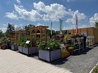 Bild: Nordhausens Herzsportler waren zu Gast auf der Landesgartenschau