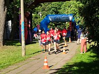 Bild: Firmenlauf im Nordh&auml;user Stadtpark