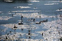 Bild: Impressionen vom Stausee Kelbra