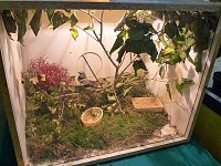Vogelausstellung in Sondershausen Bild: Vogelausstellung in Sondershausen