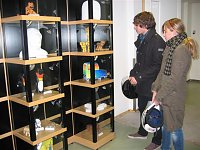 Bild: Sch&uuml;ler stellen aus