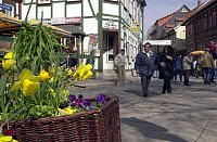 Bild: 