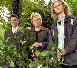 Bild: Neuer Baum im Park Hohenrode