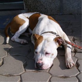 Bild: Kessy