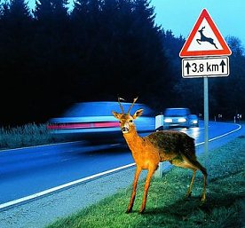 Bild: Vorsicht