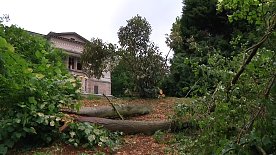 Bild: In Nordhausens Park Hohenrode wurde Ende vergangener Woche Geburtstag gefeiert - trotz Sturmsch&auml;den