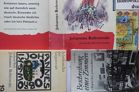 Bild: Geh unter sch&ouml;ne Sonne ... f&uuml;r Johannes Bobrowski zum 100. Geburtstag