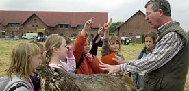 Bild: Sieger stehen fest