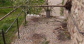 Bild: Das habe ich noch nicht gesehen!