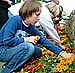 Bild: nnz-R&uuml;ckspiegel: Gr&uuml;n und ganz