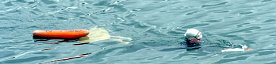 Bild: Schnitzeljagd unter Wasser