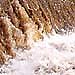 Bild: nnz-R&uuml;ckspiegel: Wasser, Wasser