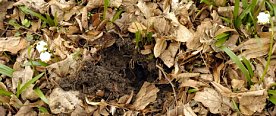 Bild: Naturliebhaber unterwegs