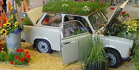Bild: Flower Power