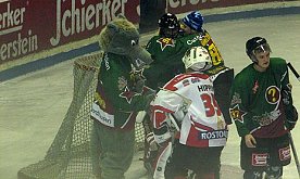 Bild: Furiose W&ouml;lfe